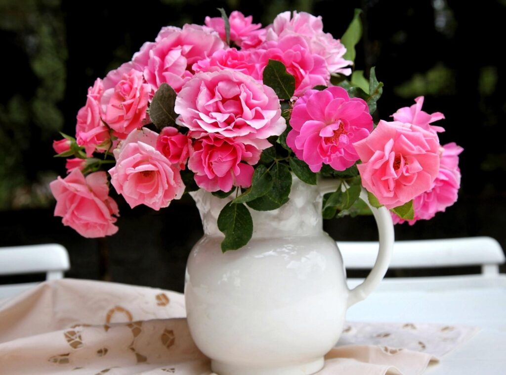 “Charming Pink Roses Wallpaper in White Pitcher on Elegant Tablecloth”