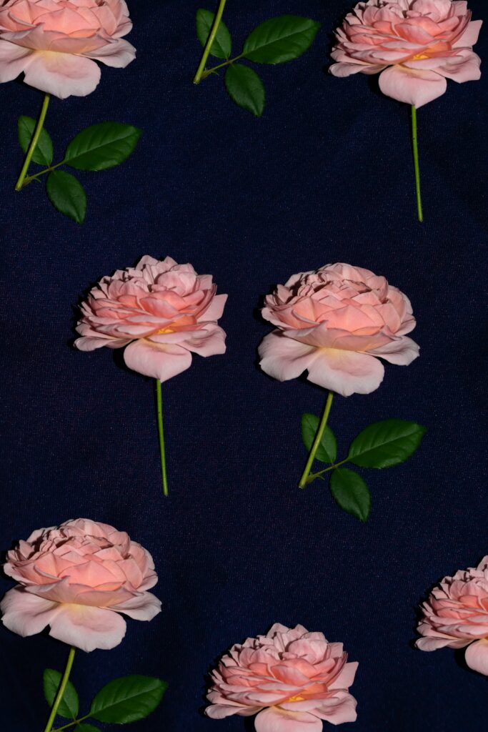 Elegant Pink Roses on Dark Fabric - Stunning Floral Wallpaper