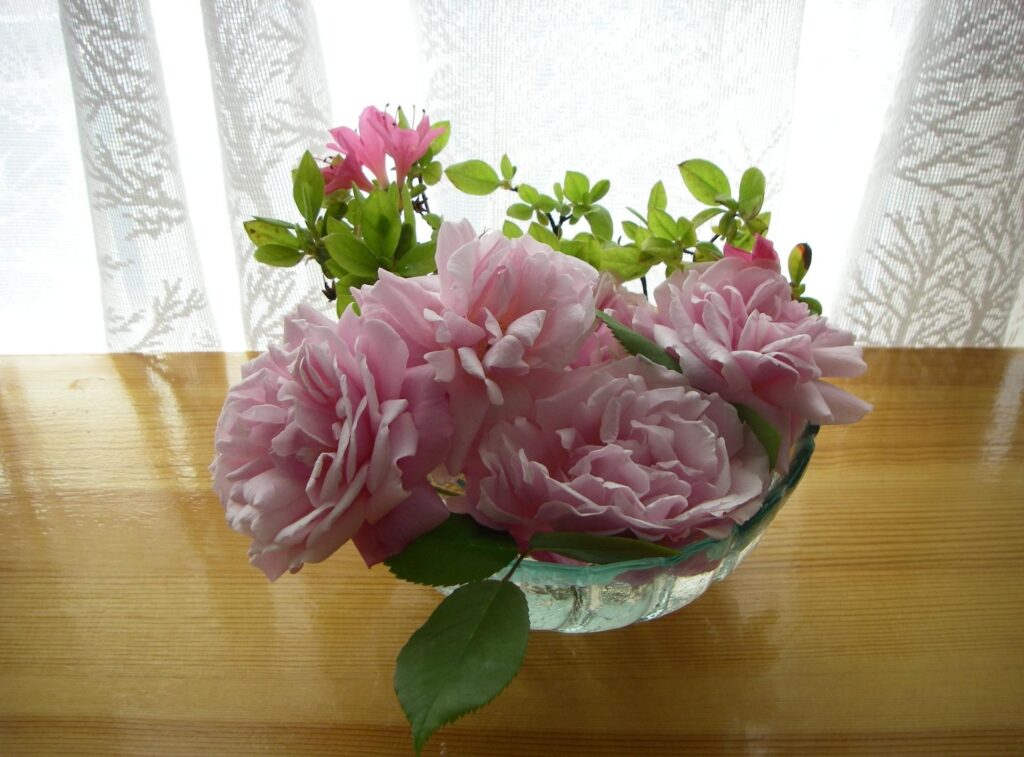 Elegant Pink Roses in Vase on Wooden Table - Soft Light Background Wallpaper