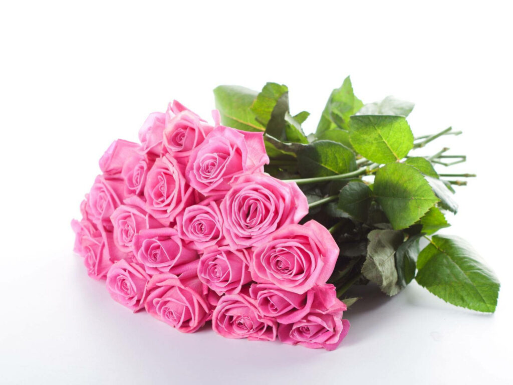 Vibrant Pink Rose Bouquet Wallpaper on Minimalistic Background