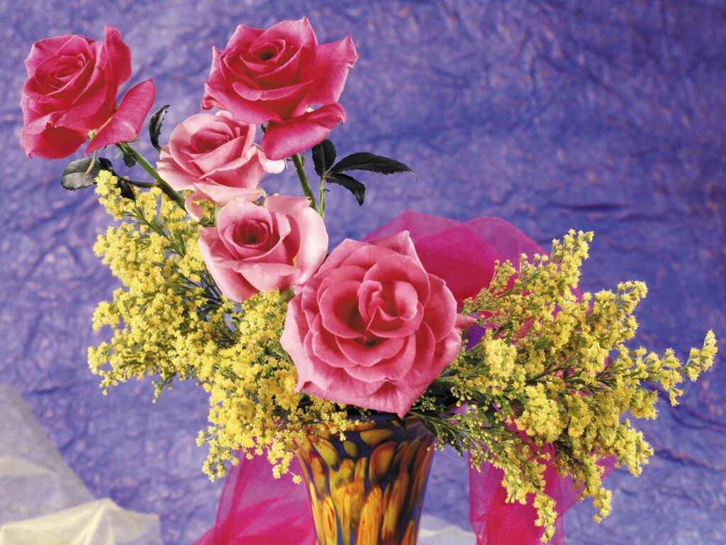 Elegant Pink Roses & Yellow Mimosas Wallpaper on Purple Background