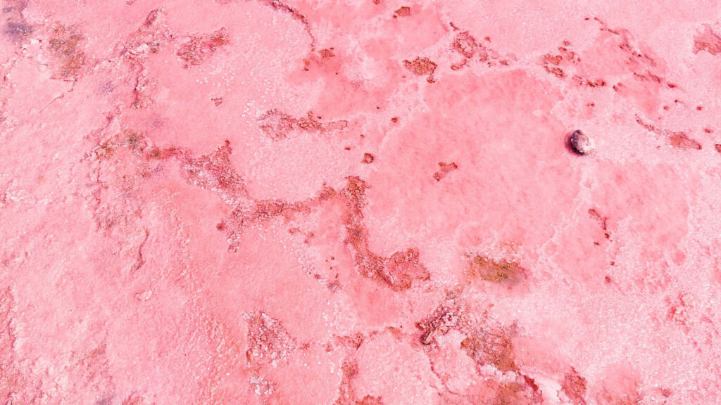 Elegant Pink Texture Wallpaper: Soft, Artistic Background Design