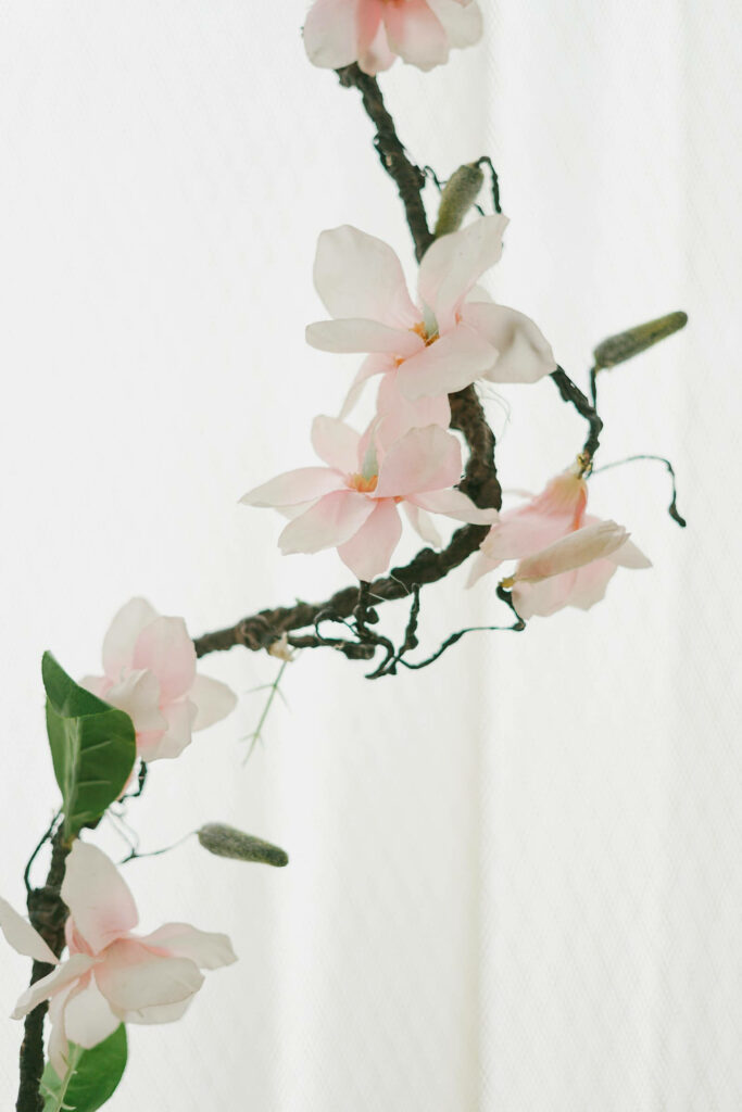 Delicate Pink Yulan Magnolia Wallpaper for Android - Serene Design
