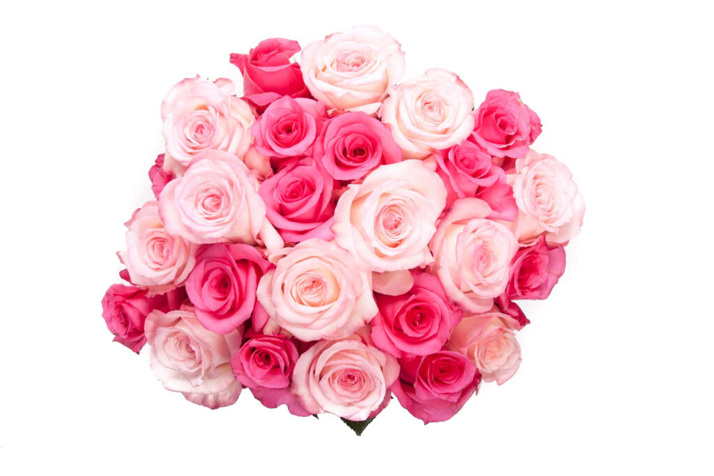 Elegant Pink and White Rose Bouquet Wallpaper - Romantic Background