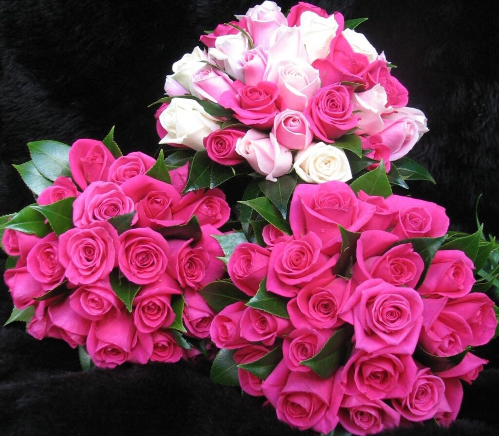 Elegant Pink and White Rose Bouquets on Dark Background Wallpaper