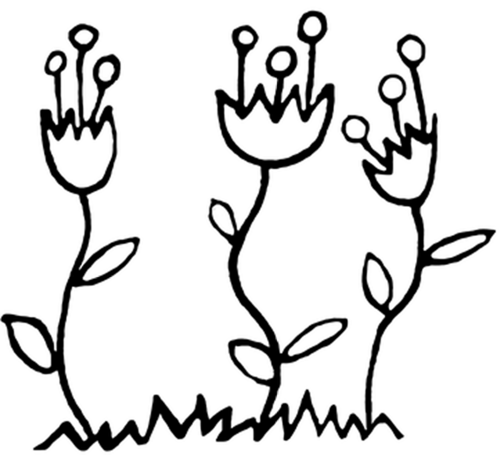 Elegant Plain Black Background for Design Simplicity Wallpaper