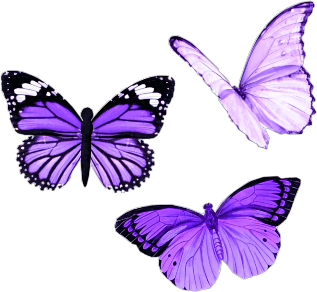Elegant Purple Butterfly Wallpaper with Intricate Wing Patterns