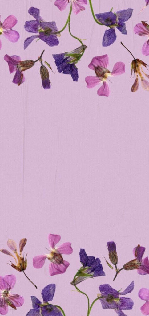 Elegant Purple Floral Wallpaper with Calming Lavender Background