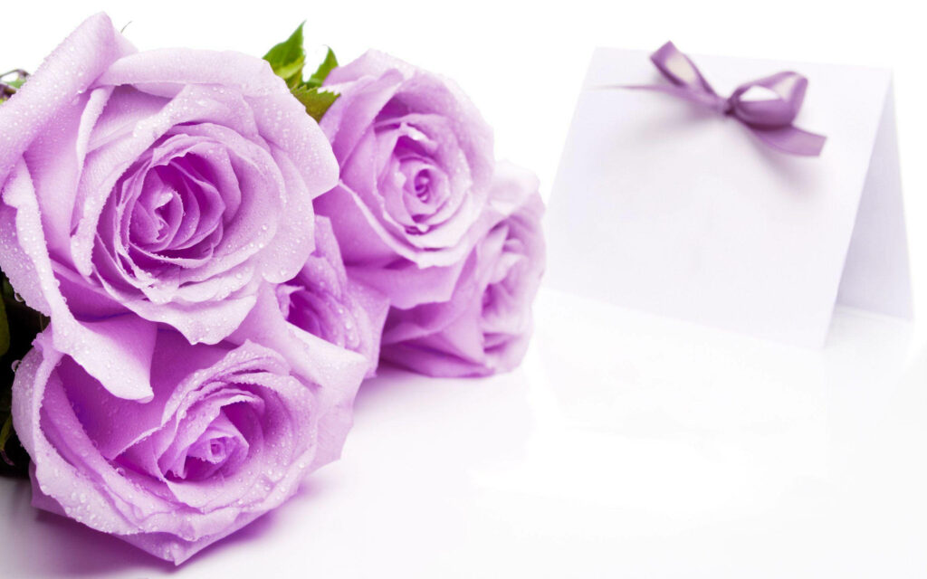 Elegant Purple Rose Wallpaper with Dewdrops & Customizable Card