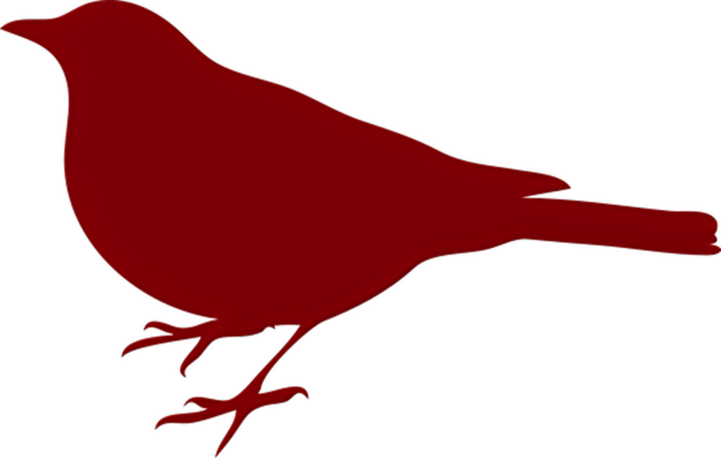 Elegant Red Bird Silhouette Wallpaper on Transparent Background
