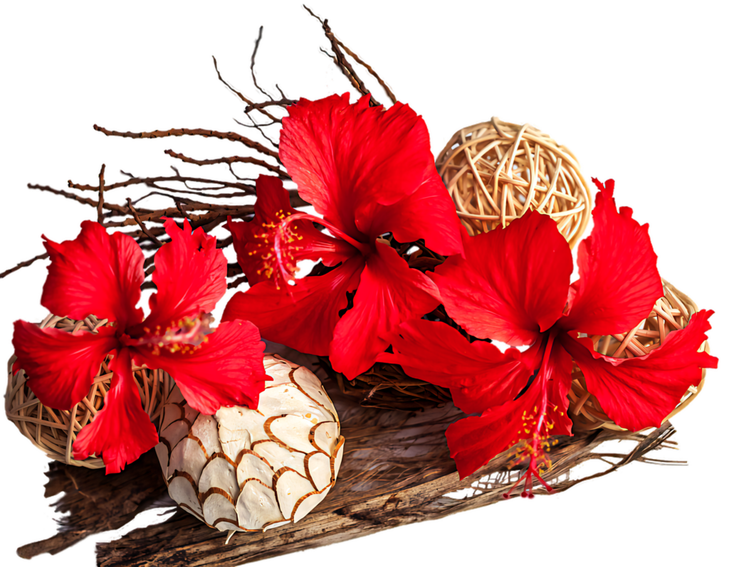 Vibrant Red Hibiscus Wallpaper with Rustic Background & Natural Elements