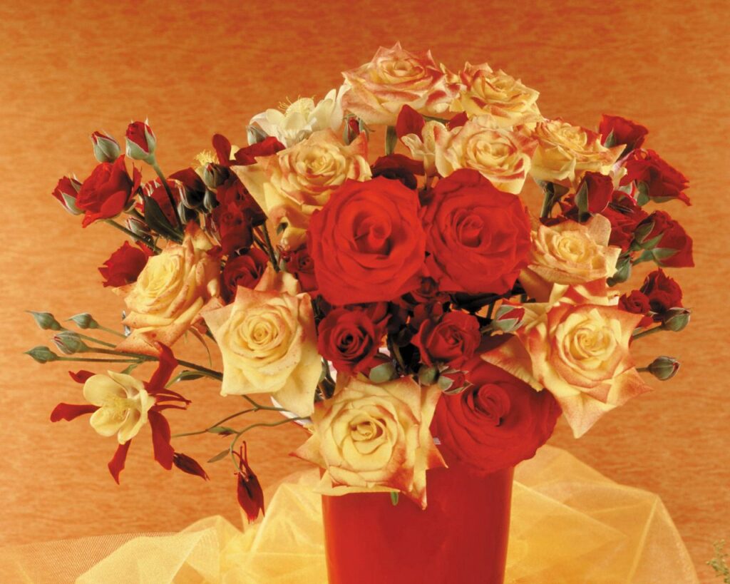 Elegant Red & Peach Roses in Vibrant Vase - Warm Textured Background Wallpaper