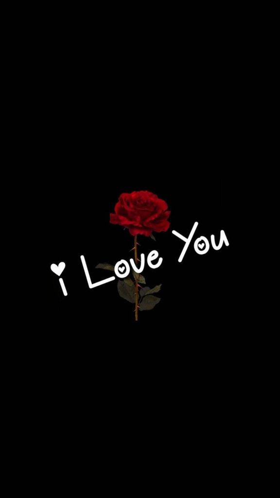 Single vivid red rose on black background with tilted white I Love You text digital wallpaper