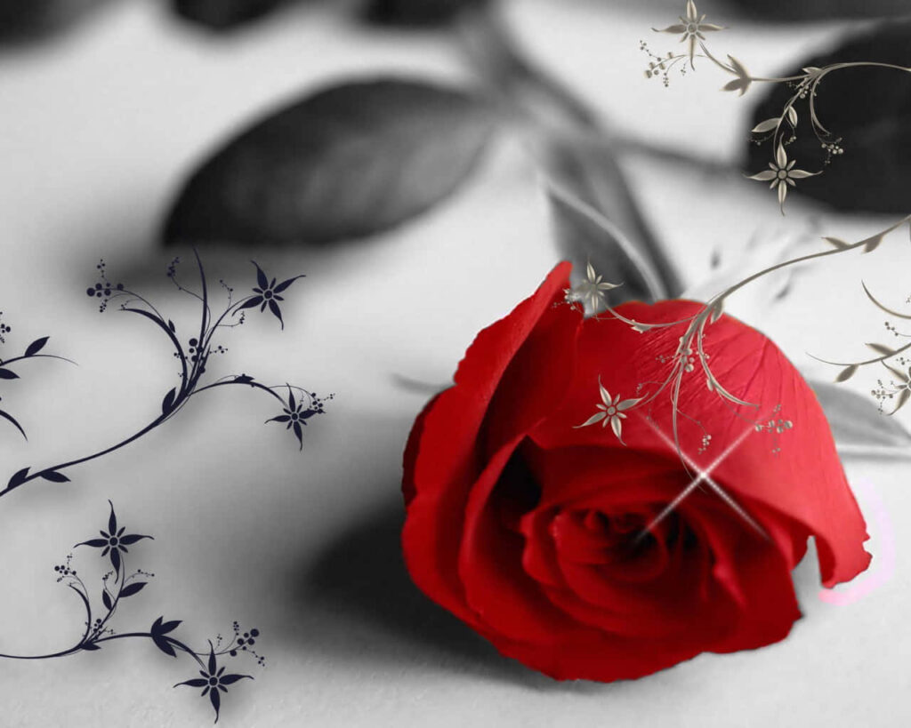 Elegant Red Rose on Table with Delicate Floral Patterns - Serene Ambiance Wallpaper