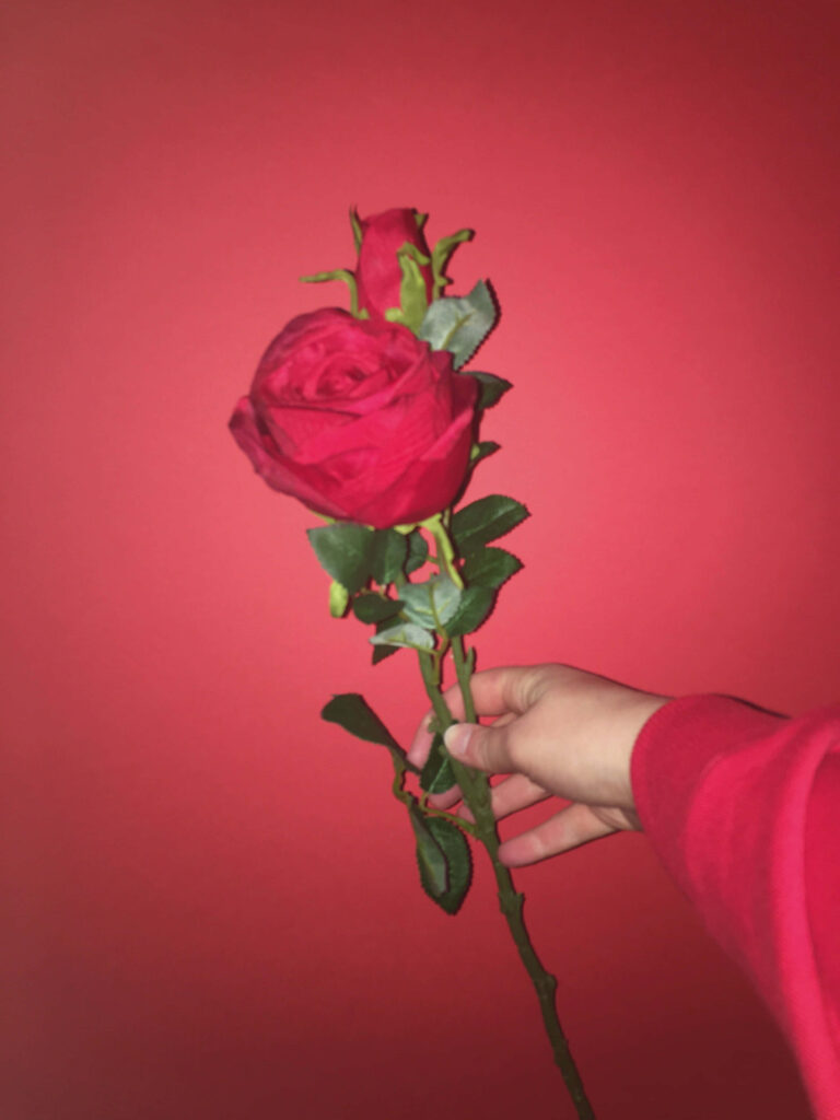 Elegant Red Rose Wallpaper on Deep Red Background - Timeless Beauty