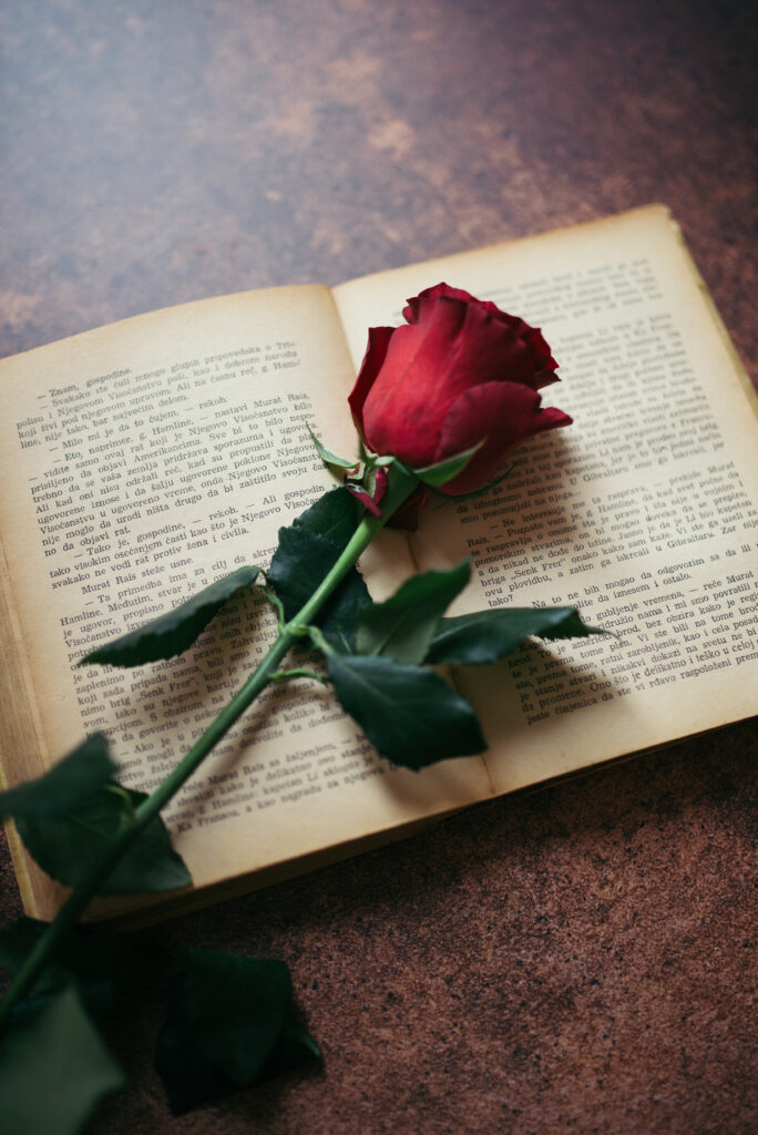 Elegant Red Rose on Aged Book - Romantic Wallpaper Background