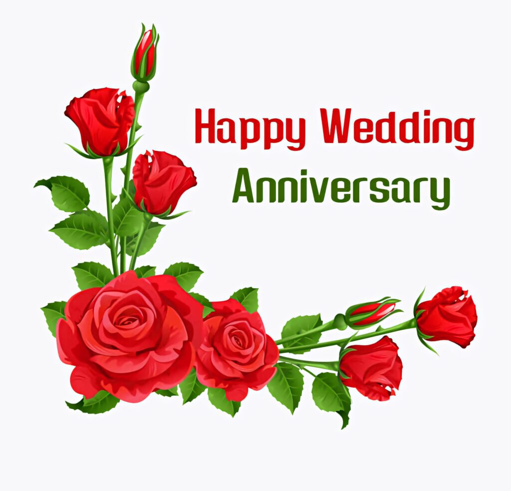 Elegant red roses and green leaves anniversary wallpaper with bold Happy Wedding Anniversary text