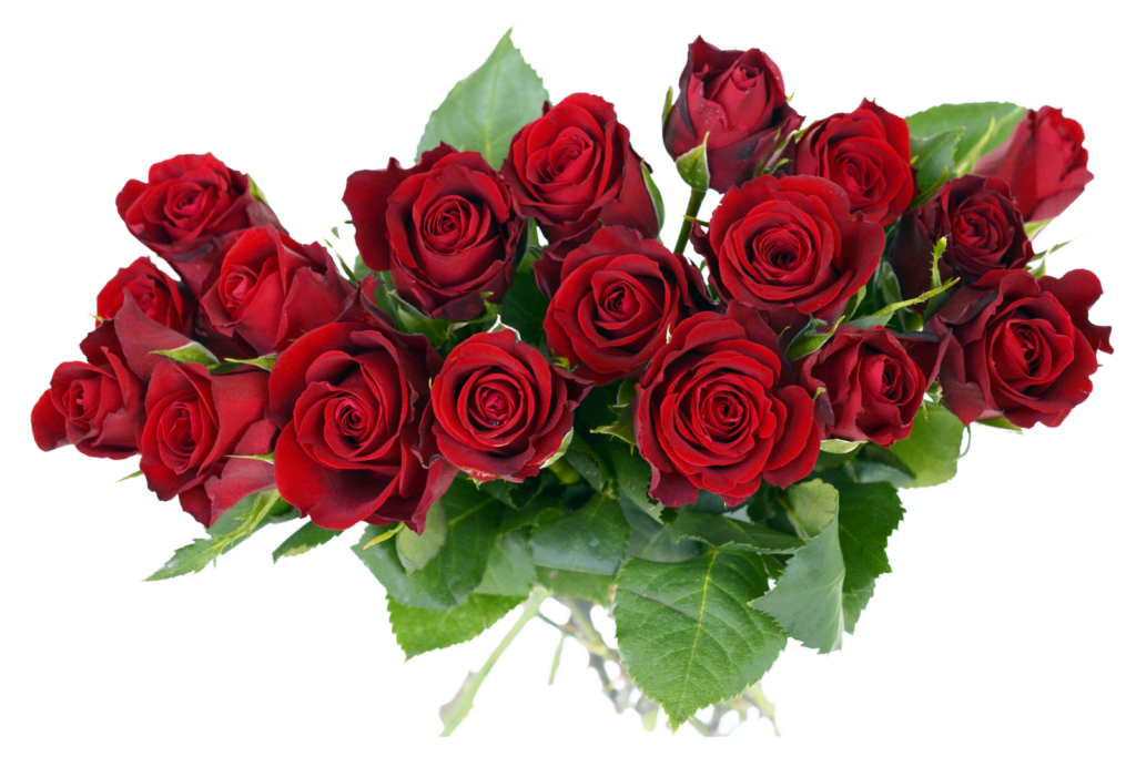 Elegant Red Rose Bouquet Wallpaper for Romantic Spaces
