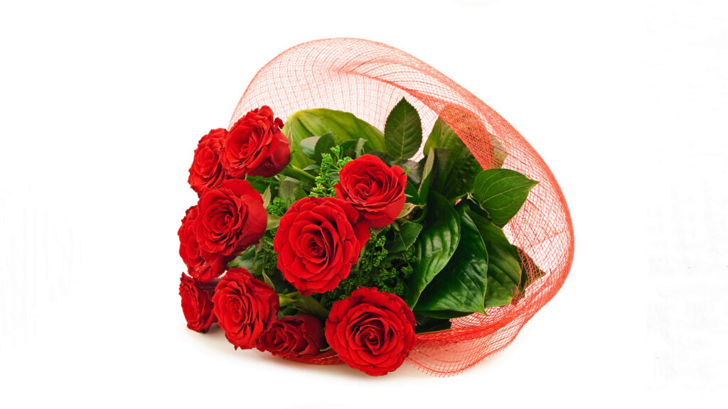 Elegant Red Roses Bouquet on Delicate Mesh - Romantic Floral Background Wallpaper