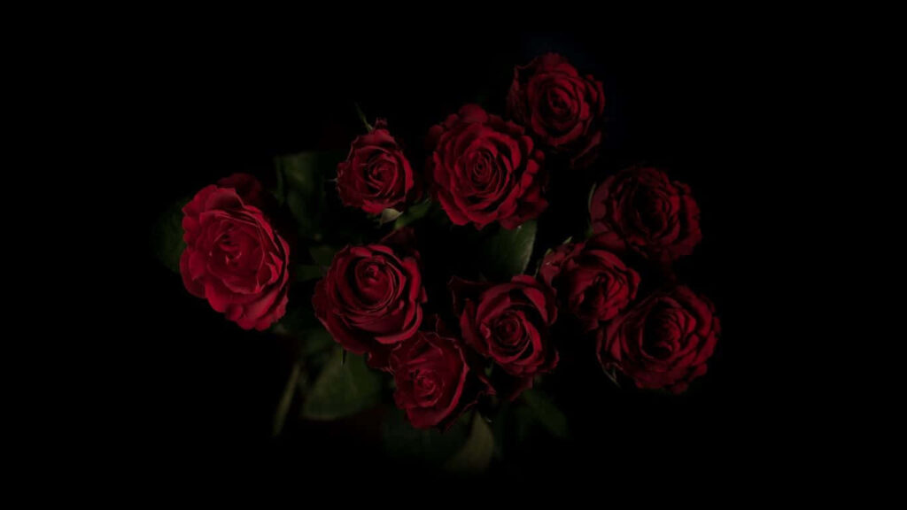 Elegant Red Roses Wallpaper on Dark Background for Dramatic Decor