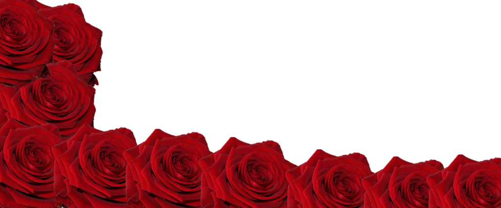 Elegant Red Roses Wallpaper on Sleek Black Background – Romantic Design