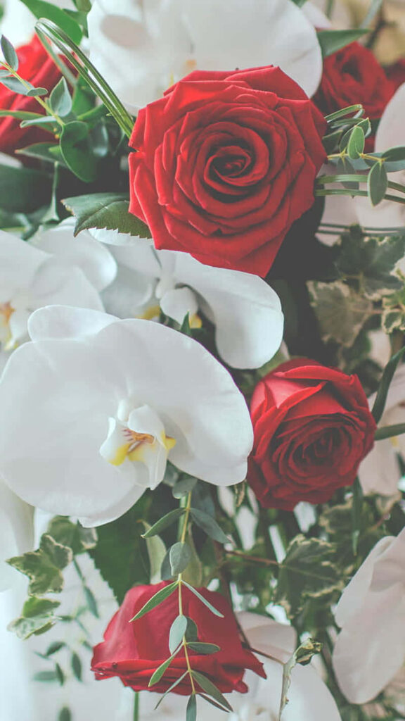Beautiful Red Roses & White Flowers Wallpaper - Romantic Background