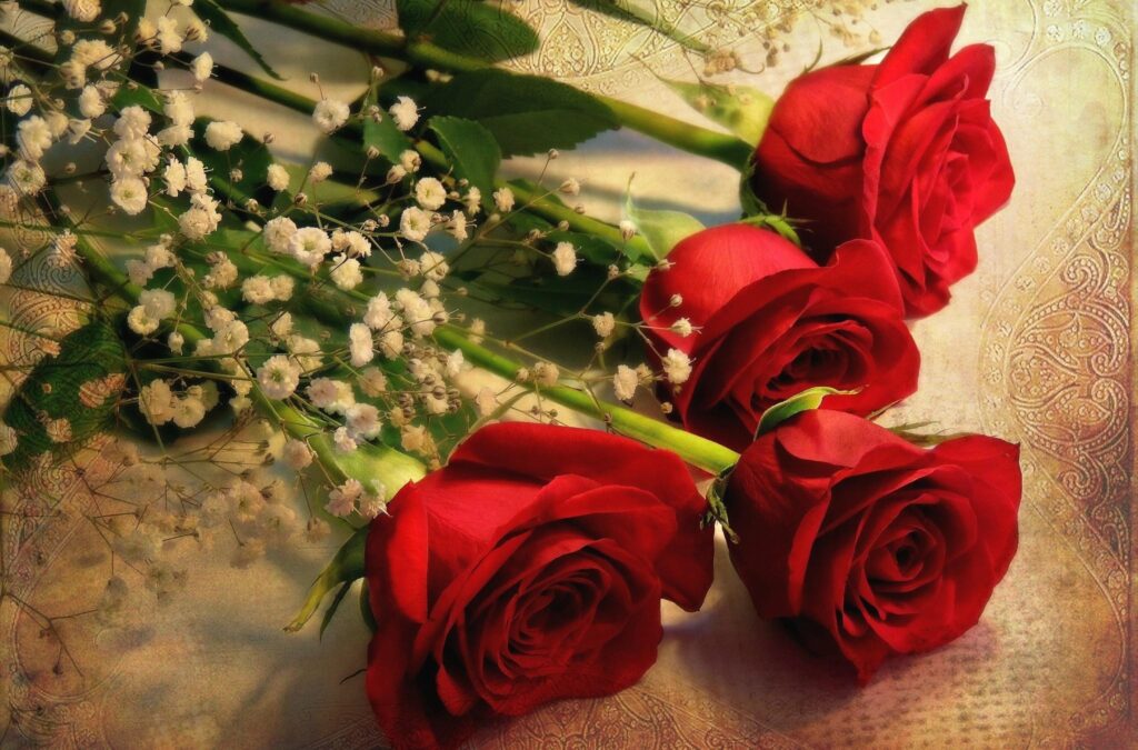 Elegant Red Roses & Gypsophila Wallpaper - Romantic Background Design