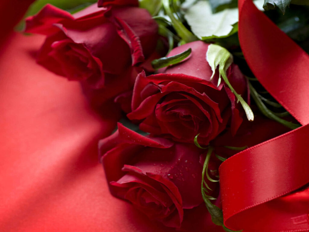 Elegant Red Roses on Luxurious Satin: A Stunning Floral Photograph Wallpaper