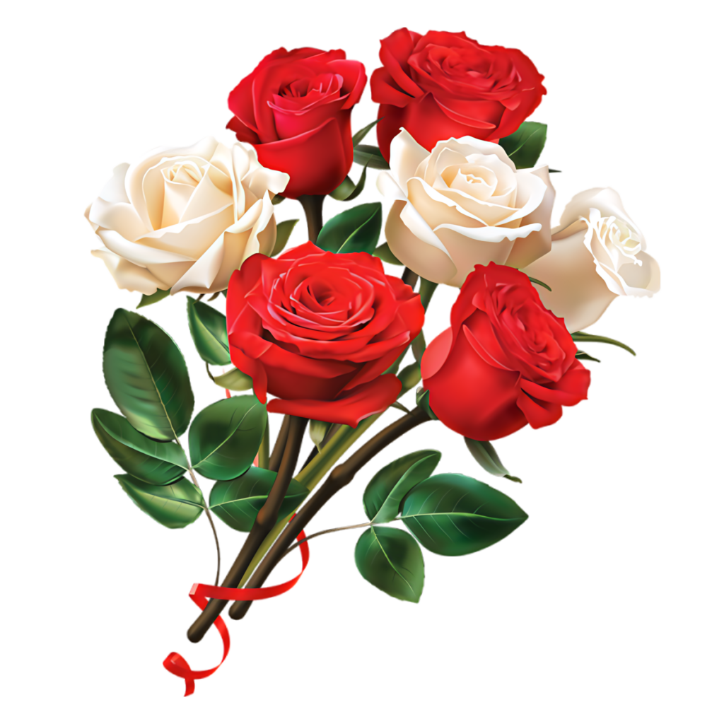 Stunning Red and White Roses Wallpaper - Elegant Floral Background