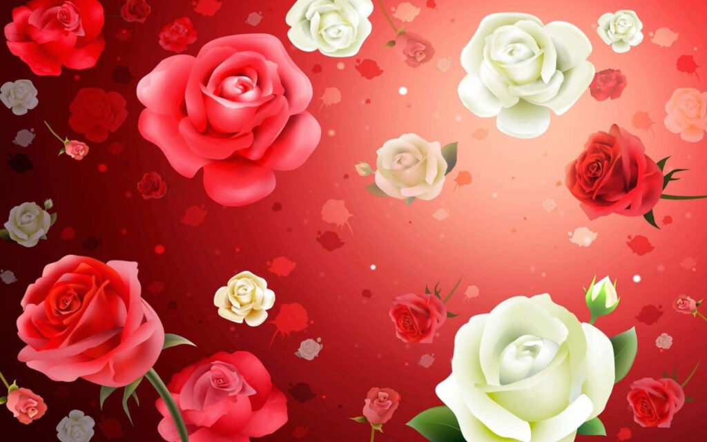 Elegant Red and White Roses Wallpaper for Romantic Background