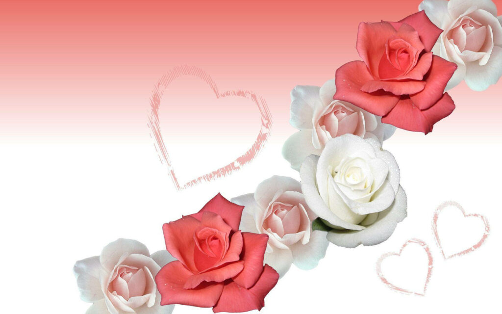 Elegant Red and White Rose Wallpaper with Heart Accents