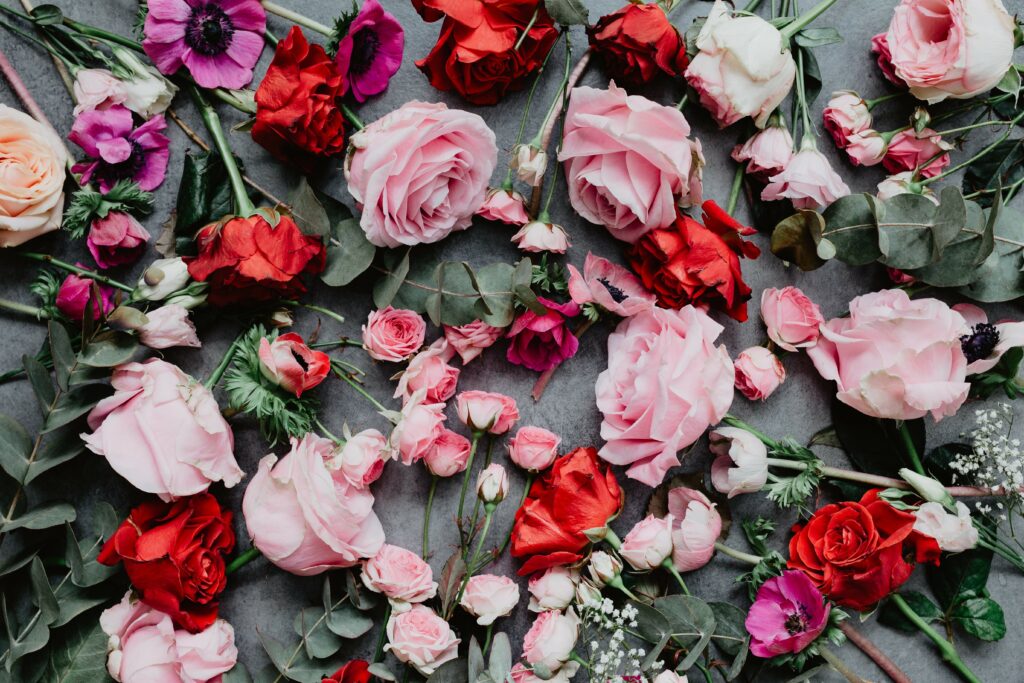 Elegant Red & Pink Roses Wallpaper for Stunning Backgrounds