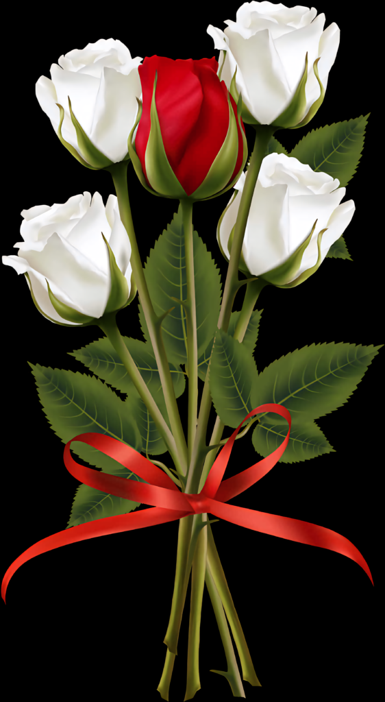 Elegant Red & White Rose Bouquet Wallpaper with Ribbon Background