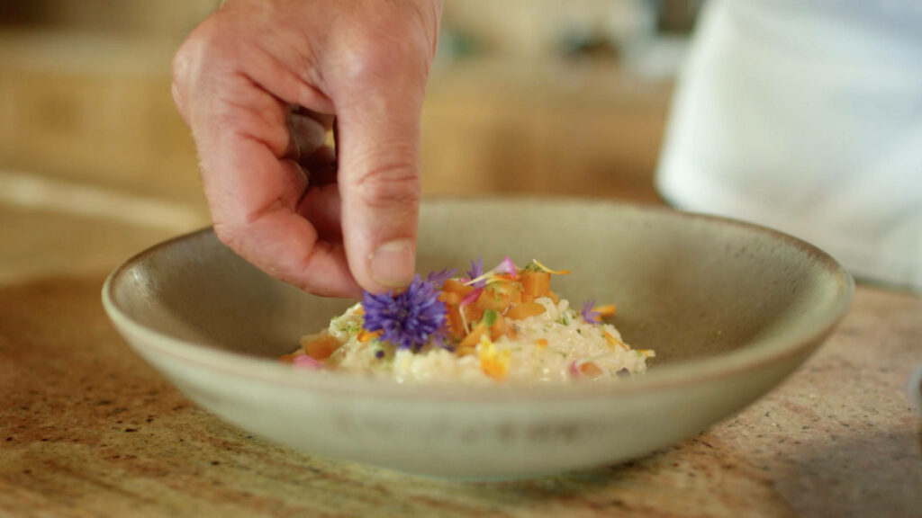 Elegant Risotto with Apricots & Edible Flowers - Wallpaper Background