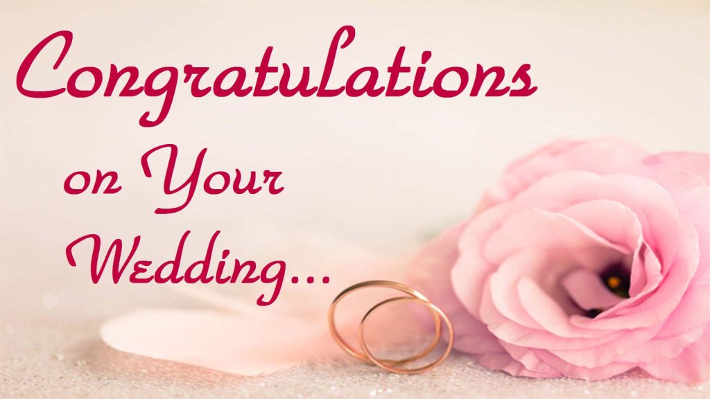 Elegant wedding wallpaper with gold rings pink flower warm cream background congratulations text