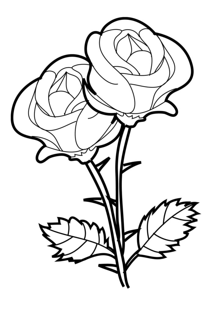 Elegant Rose Outline Wallpaper for Relaxing Coloring Activities