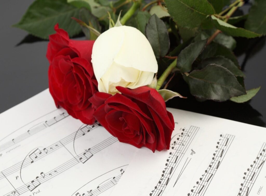 Elegant Roses on Music Notes - Dark Background Wallpaper
