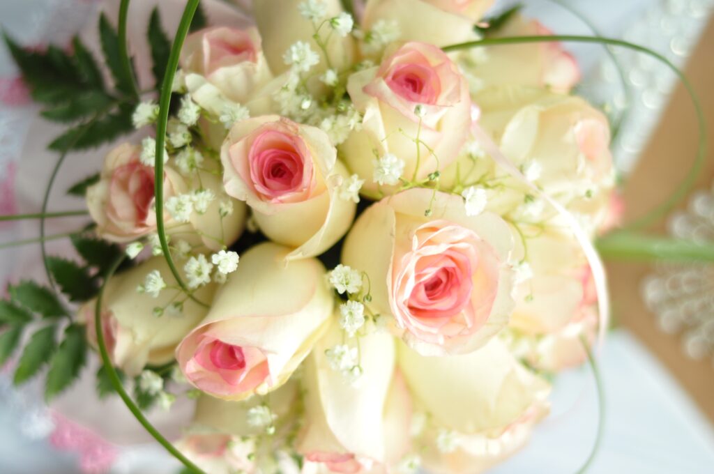 Elegant Cream and Pink Rose Bouquet Wallpaper with Green Background