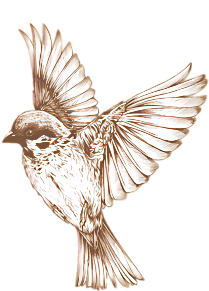 Elegant Sepia Sketch of Bird in Flight - Detailed Wallpaper Background