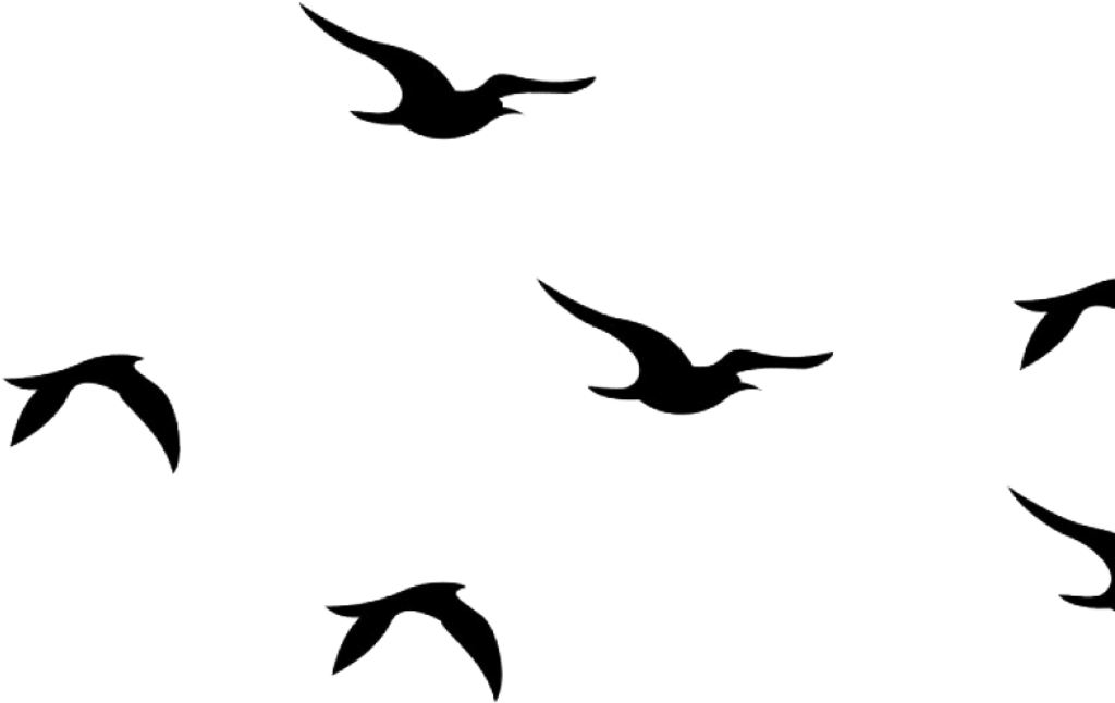 Elegant Silhouetted Birds Wallpaper - Free-Flying Design Background