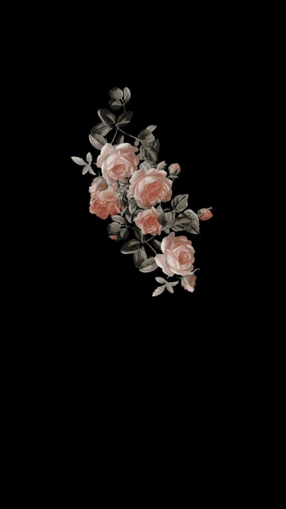 Elegant Soft Pink Roses on Black Background – Dramatic Wallpaper
