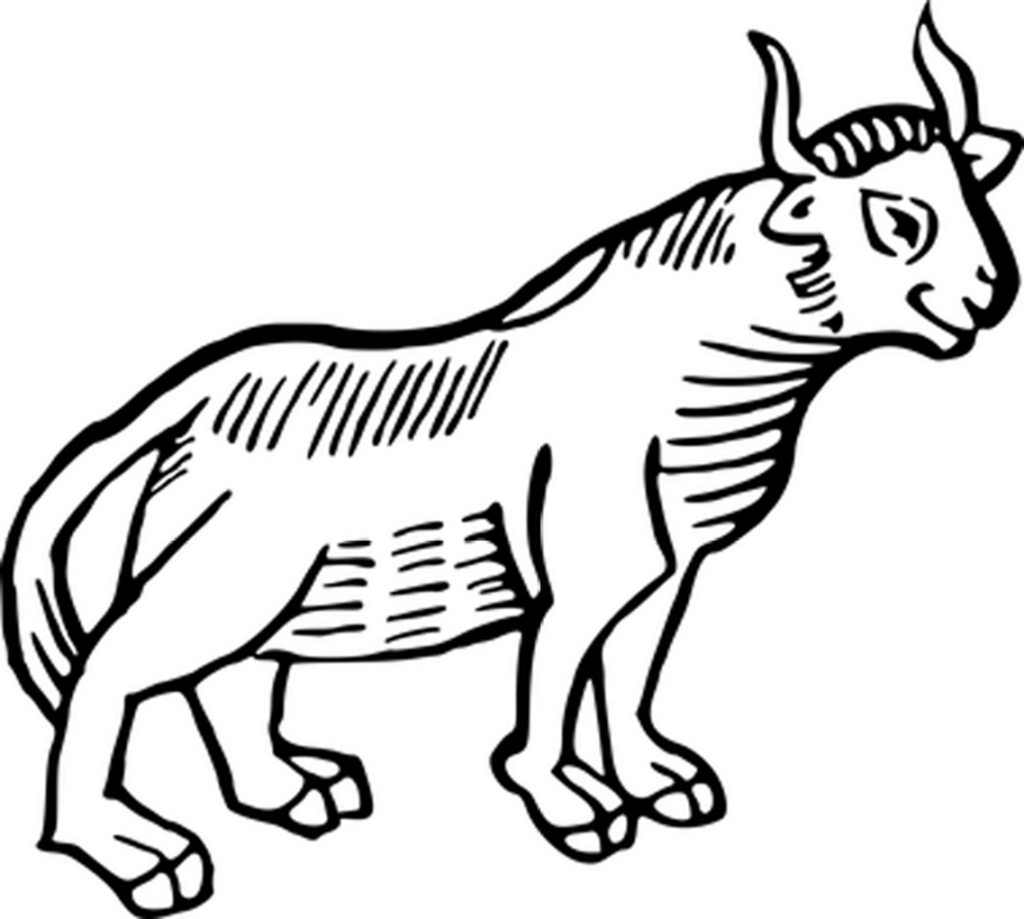 Solid Black Wallpaper: Minimalist Design for Elegant Backgrounds