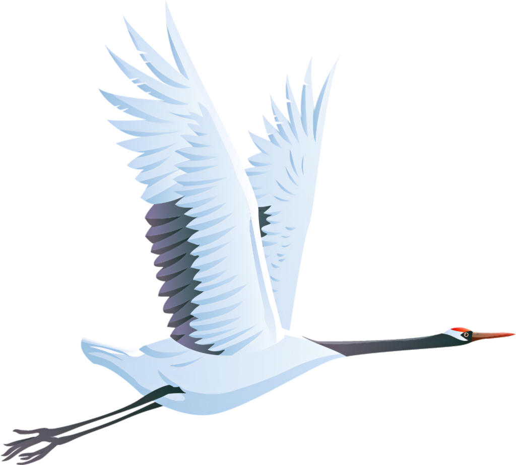 Elegant Swan Wallpaper: Majestic Mid-Flight Background Art