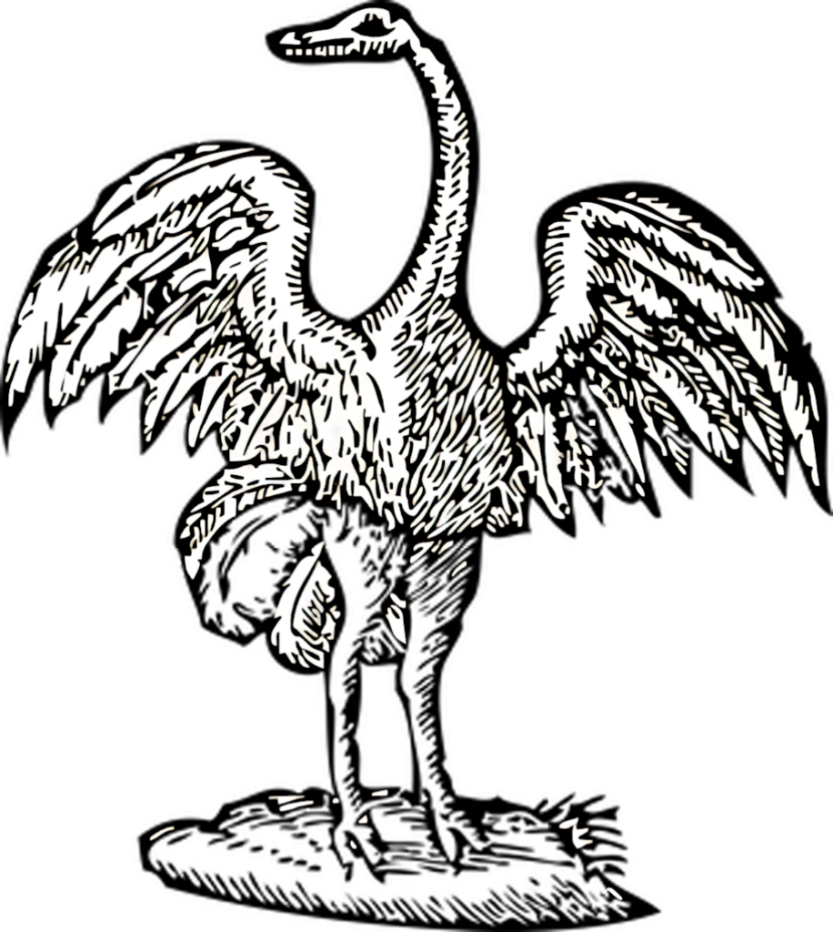 Elegant Swan Silhouette Wallpaper: Dramatic Monochrome Design
