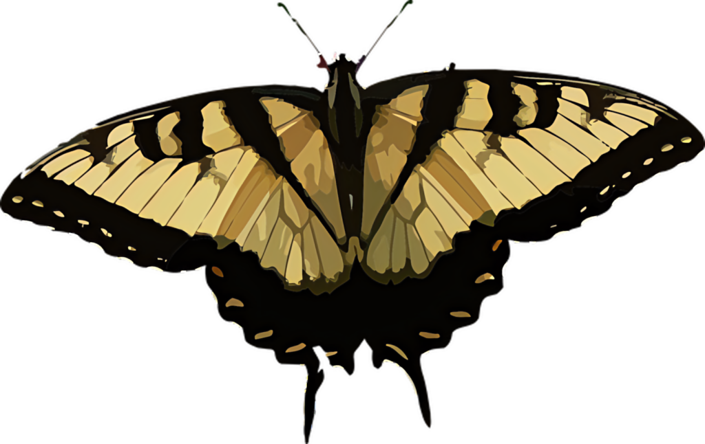 Elegant Tiger Swallowtail Butterfly Silhouette Wallpaper Design