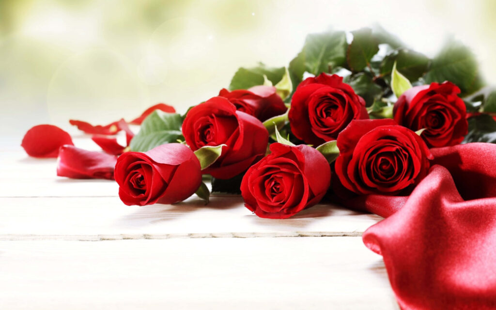 Elegant Red Roses on White Surface with Soft Blurred Background Wallpaper