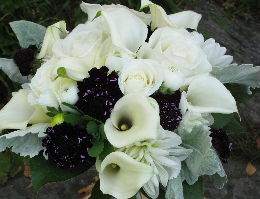 Elegant White Roses & Calla Lilies Wallpaper: Nature-Inspired Beauty