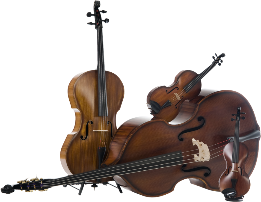 Elegant String Instruments Wallpaper: Violin, Viola, Cello, Bass