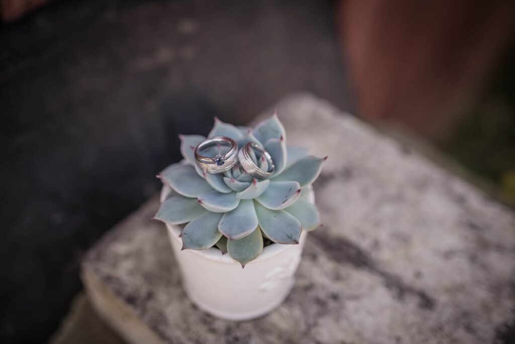 Elegant Wedding Rings on Echeveria Succulent Wallpaper Background