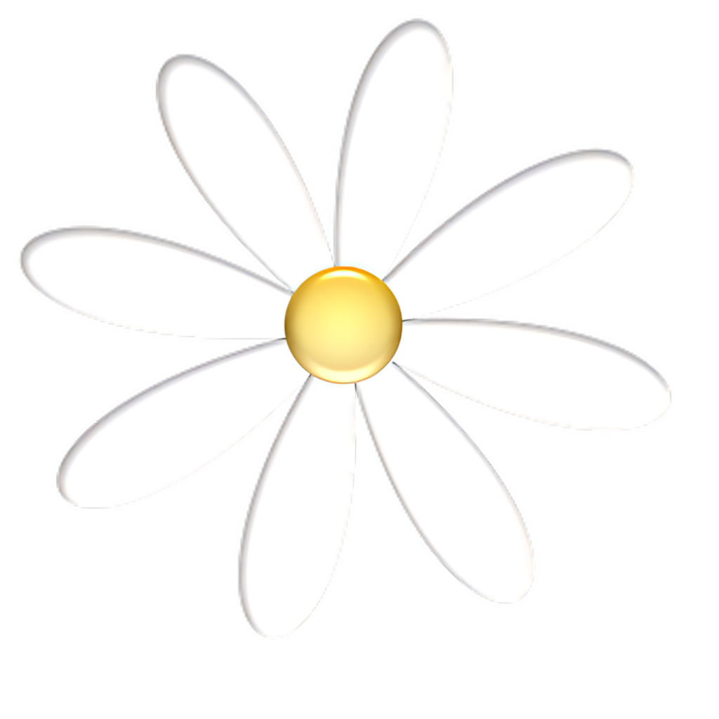 Elegant White Daisy Wallpaper on Striking Black Background